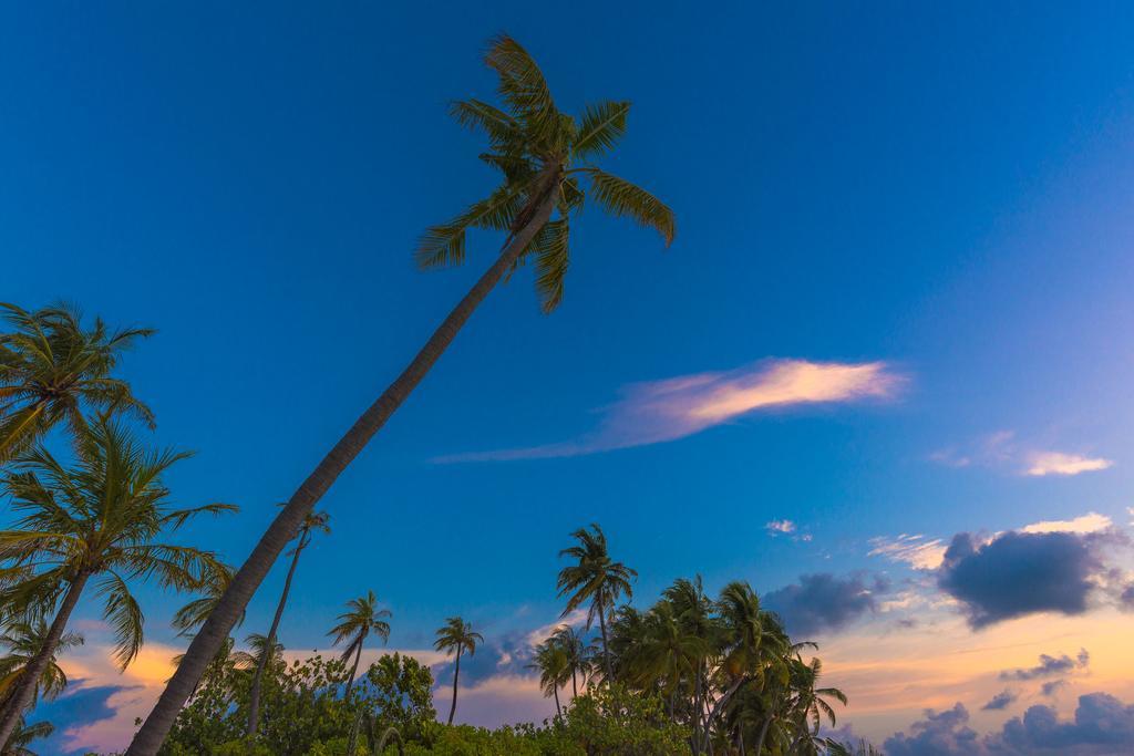 ซับบา ซัมเมอร์ สวีท Hotel Fodhdhoo ภายนอก รูปภาพ